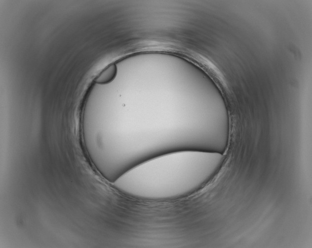 X0000111871419200907231142