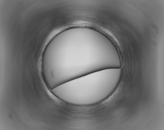 X0000111871421200907231142