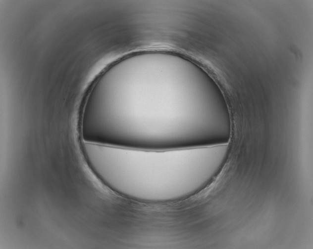 X0000111871422200907231142
