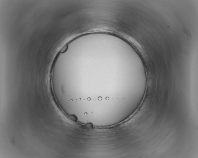 X0000111871423200907231142