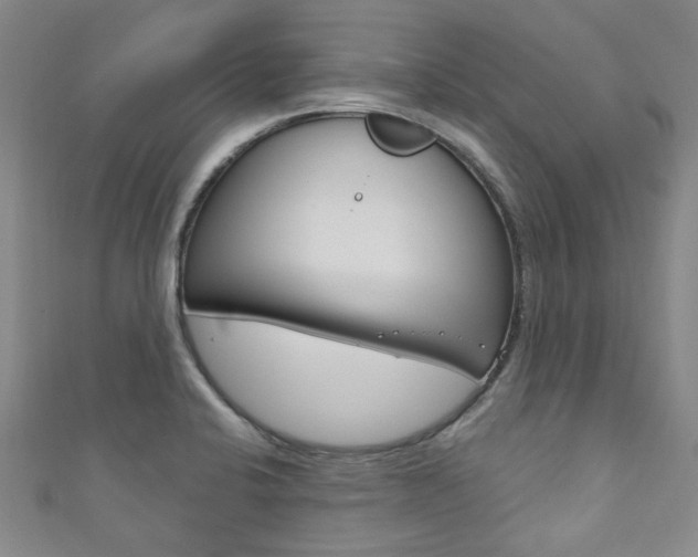 X0000111871424200907231142