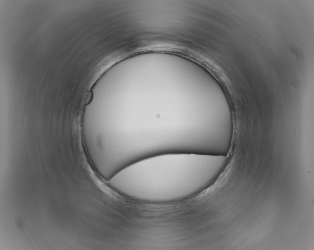 X0000111871425200907231142