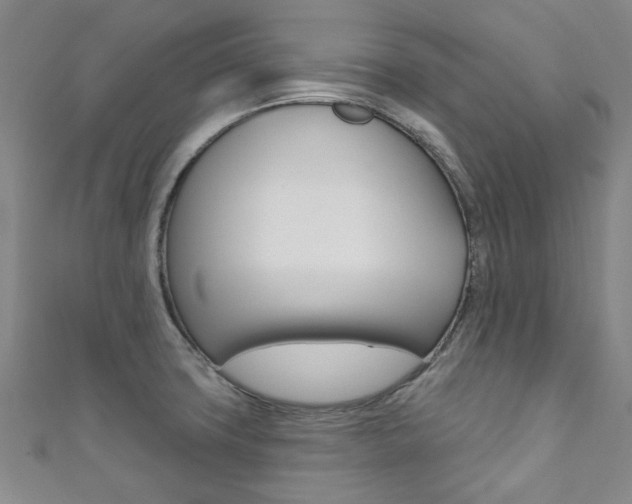 X0000111871427200907231142