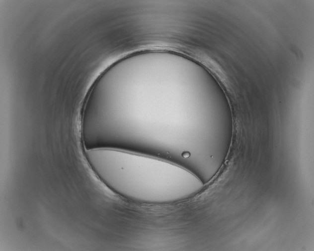 X0000111871428200907231142