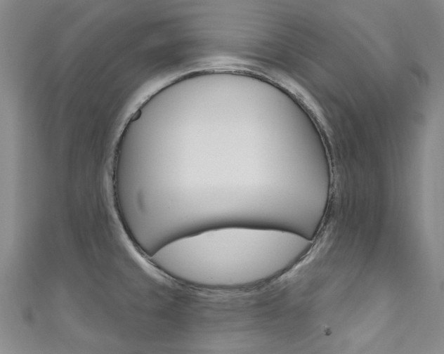 X0000111871429200907231142