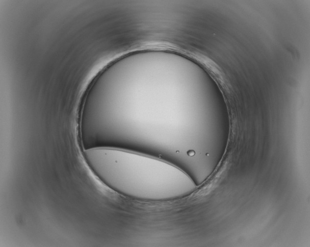 X0000111871430200907231142