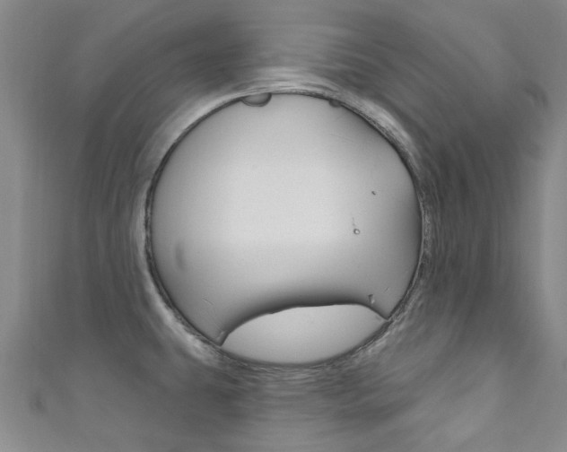 X0000111871431200907231142