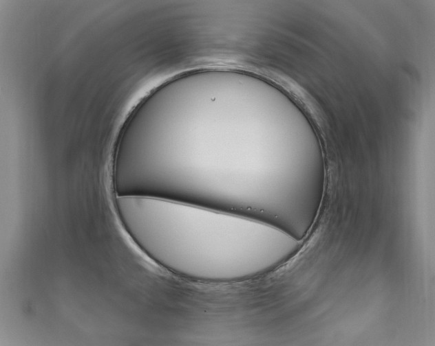 X0000111871432200907231142