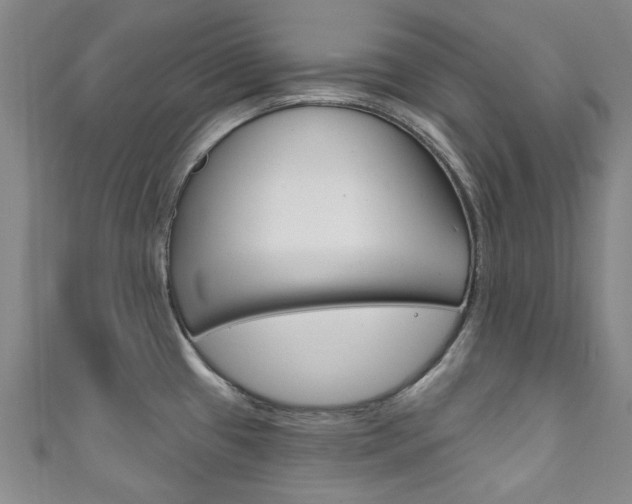 X0000111871433200907231142