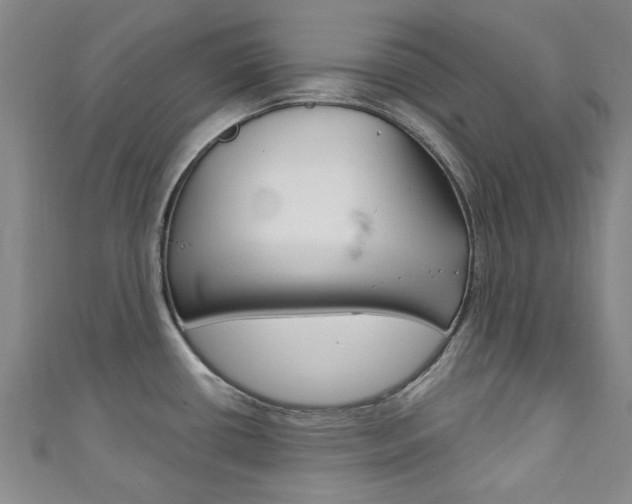 X0000111871434200907231142