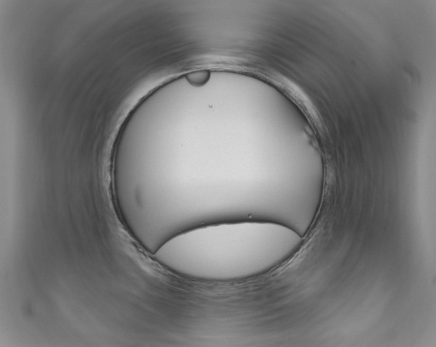 X0000111871435200907231142