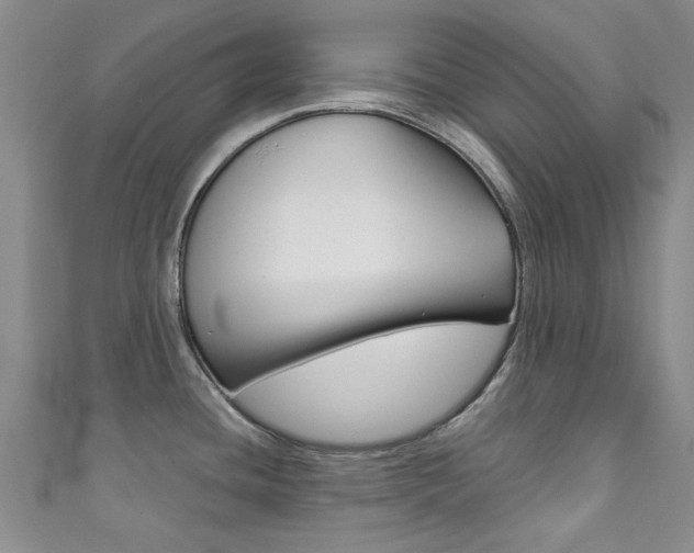 X0000111871436200907231142