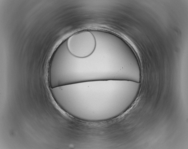 X0000111871437200907231142