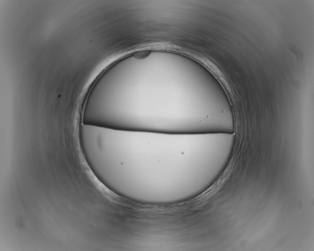 X0000111871438200907231142