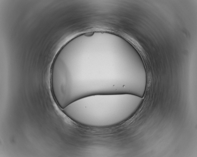 X0000111871439200907231142