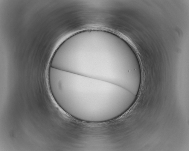 X0000111871440200907231142