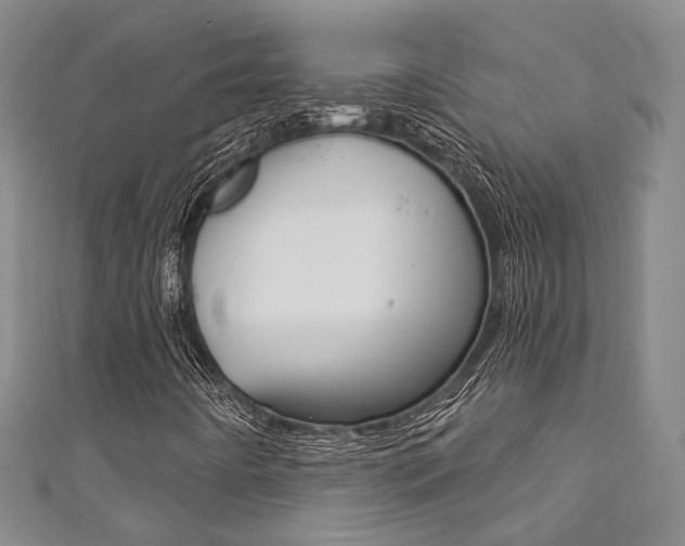 X0000111871442200907231141