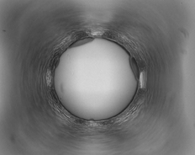 X0000111871443200907231141