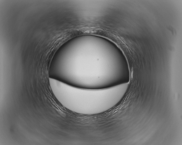 X0000111871444200907231141