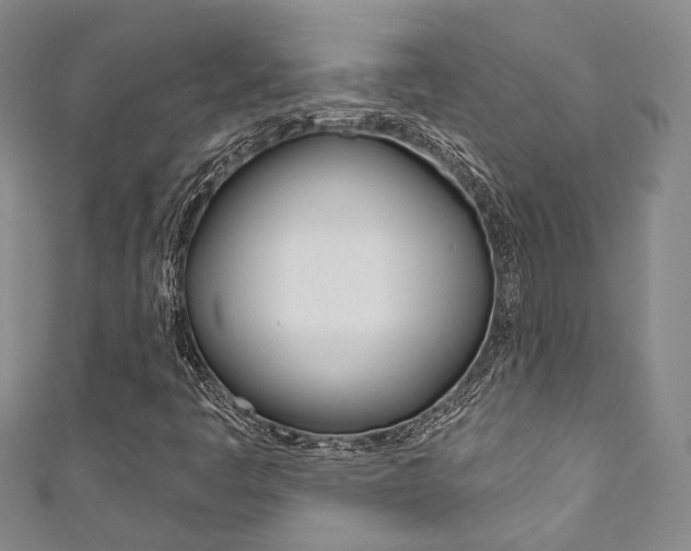 X0000111871445200907231141