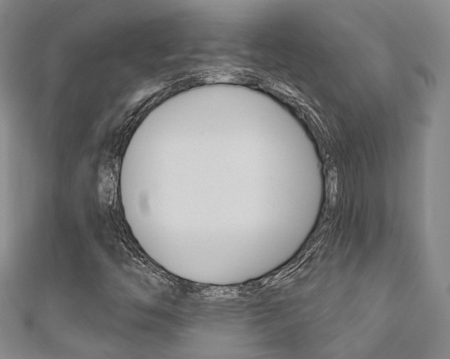 X0000111871446200907231141