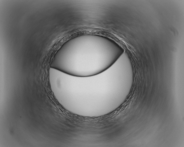X0000111871447200907231141