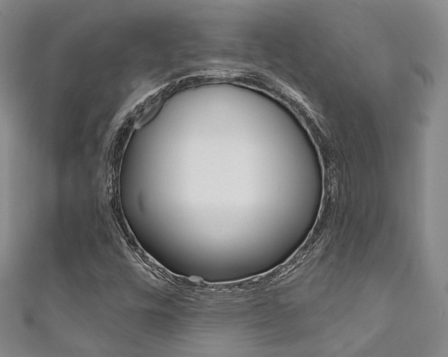 X0000111871448200907231141