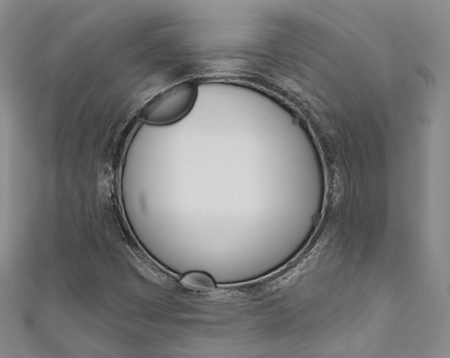X0000111871449200907231141