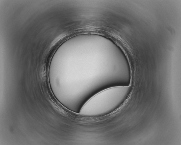 X0000111871450200907231141
