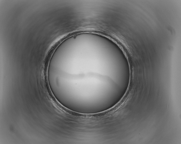X0000111871452200907231141