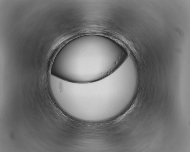 X0000111871453200907231141