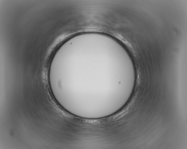 X0000111871454200907231141