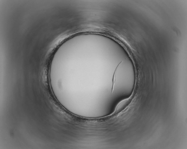 X0000111871455200907231141