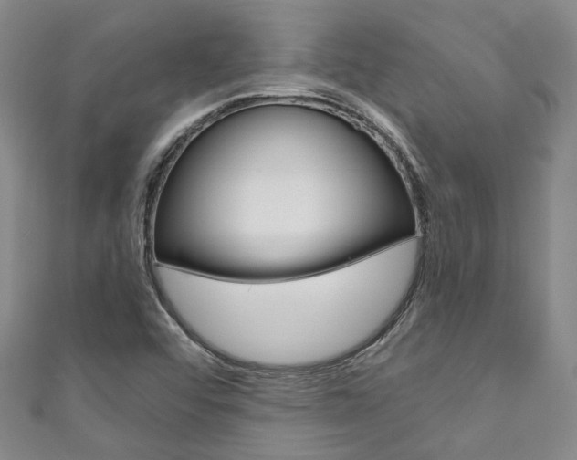 X0000111871456200907231141