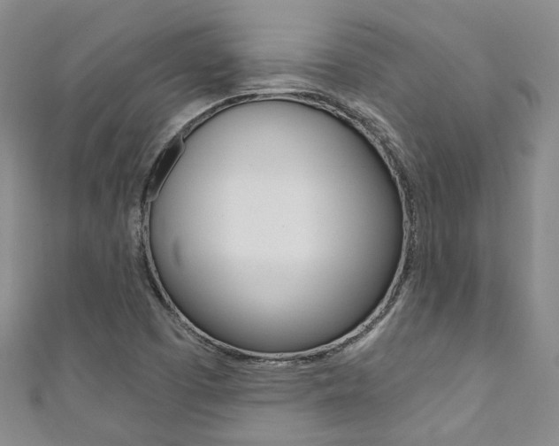 X0000111871457200907231141