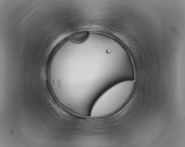 X0000111871458200907231141
