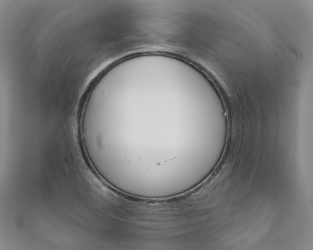 X0000111871460200907231141