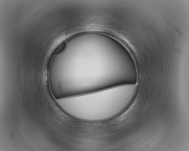X0000111871461200907231141