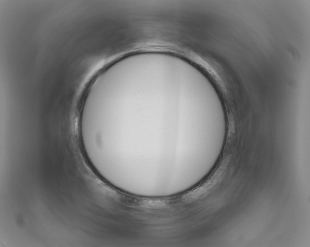 X0000111871462200907231141