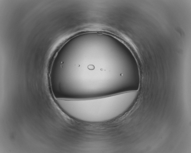 X0000111871464200907231141