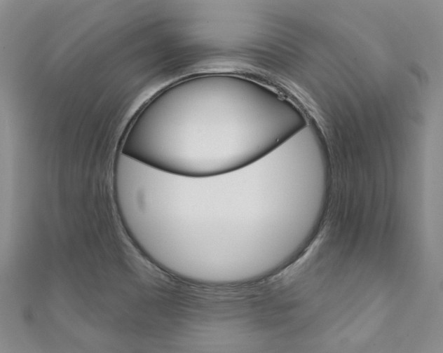X0000111871465200907231141