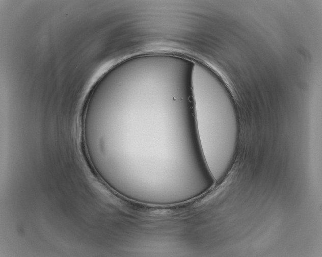 X0000111871467200907231141