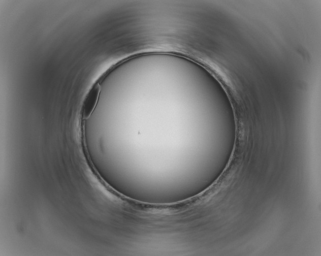 X0000111871468200907231141