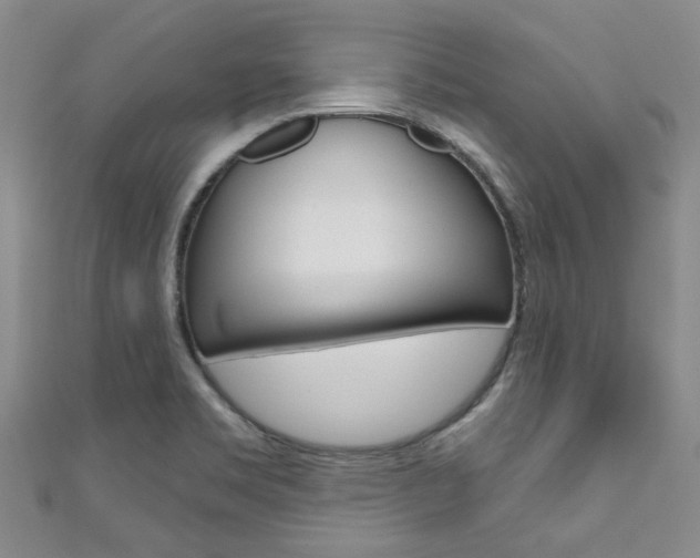 X0000111871469200907231141