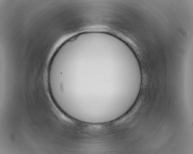 X0000111871470200907231141