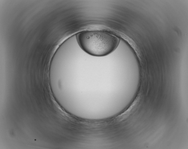 X0000111871473200907231141