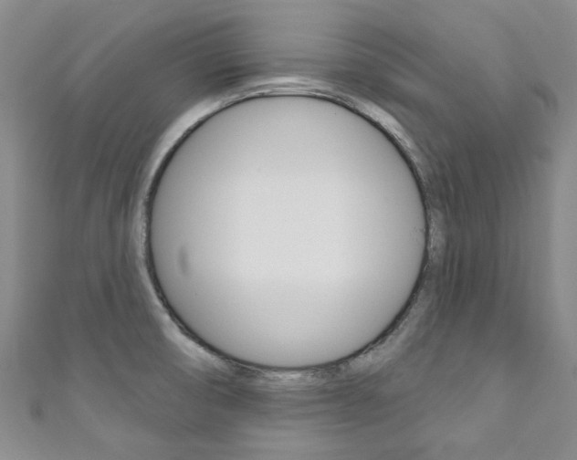 X0000111871474200907231141