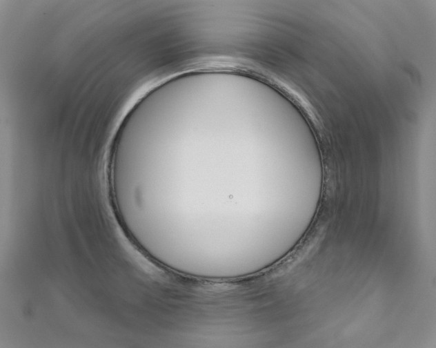 X0000111871475200907231141