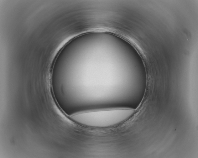 X0000111871476200907231141