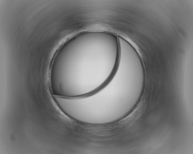 X0000111871477200907231141